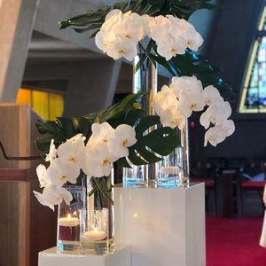 White Plinths - Various Sizes - Wellington Wedding Hire