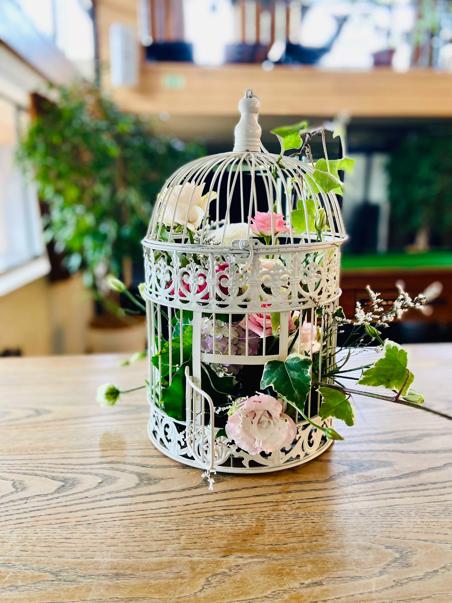 Bird Cage White - Wellington Wedding Hire